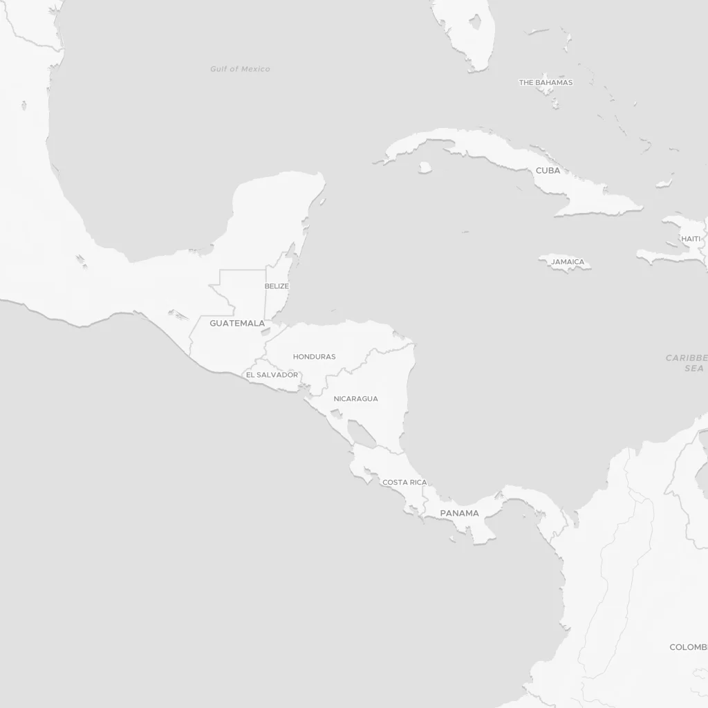 MapStyle.DATAVIZ.LIGHT