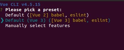Vue.js CLI options
